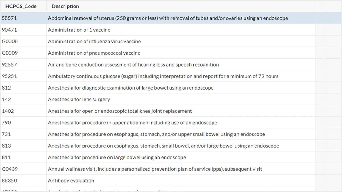 Screenshot of the HCPCS Codes listed in Caspio's data set.